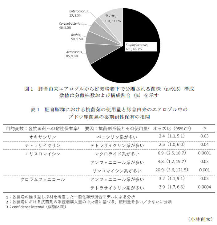 図1 豚舎由来エアロゾルから好気培養下で分離される菌株(n=915)構成,表1 肥育豚群における抗菌剤の使用量と豚舎由来のエアロゾル中のブドウ球菌属の薬剤耐性保有の相関