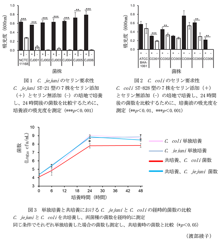 図1 C. jejuniのセリン要求性,図2 C. coliのセリン要求性,図3 単独培養と共培養におけるC. jejuniとC. coliの経時的菌数の比較
