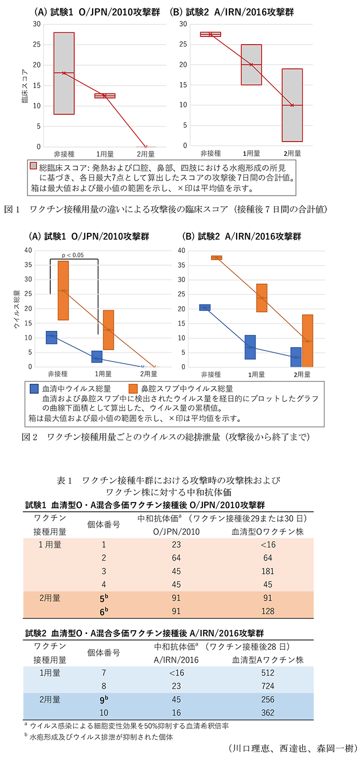 図1 ワクチン接種用量の違いによる攻撃後の臨床スコア(接種後7日間の合計値),図2 ワクチン接種用量ごとのウイルスの総排泄量(攻撃後から終了まで),表1 ワクチン接種牛群における攻撃時の攻撃株およびワクチン株に対する中和抗体価