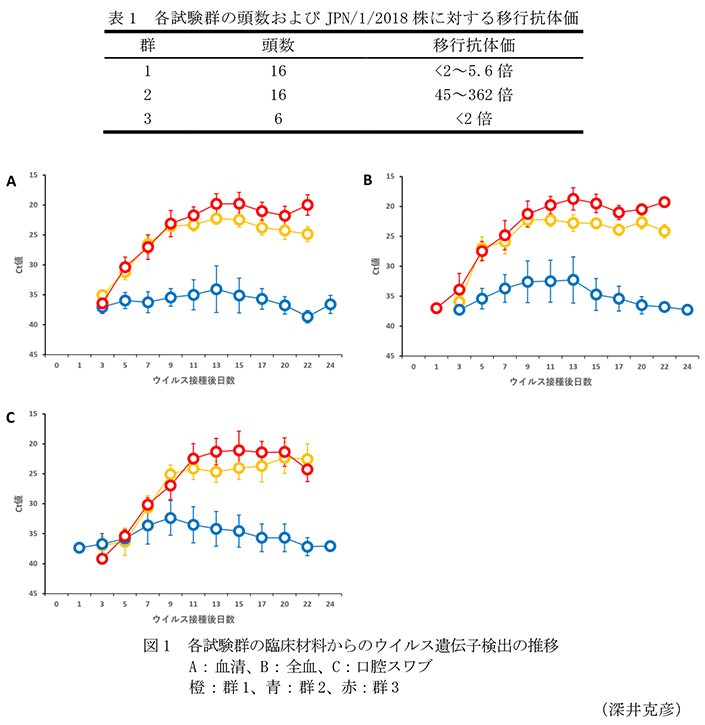 表1 各試験群の頭数およびJPN/1/2018株に対する移行抗体価,図1 各試験群の臨床材料からのウイルス遺伝子検出の推移