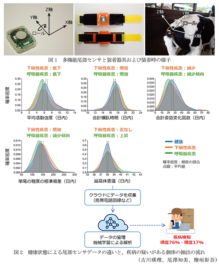 図1 多機能尾部センサと装着器具および装着時の様子,図2 健康状態による尾部センサデータの違いと、疾病の疑いがある個体の抽出の流れ