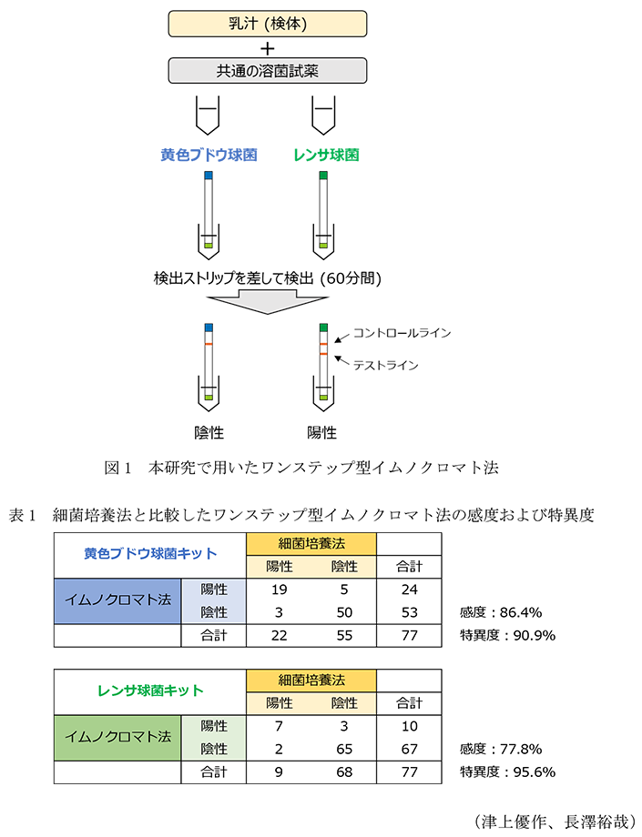図1 本研究で用いたワンステップ型イムノクロマト法,表1 細菌培養法と比較したワンステップ型イムノクロマト法の感度および特異度