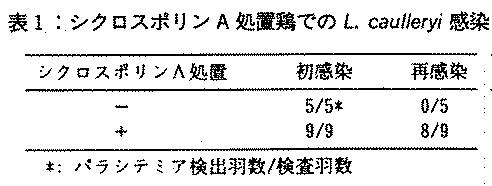 表1.シクロスポリンA処置鶏でのL.caulleryi感染