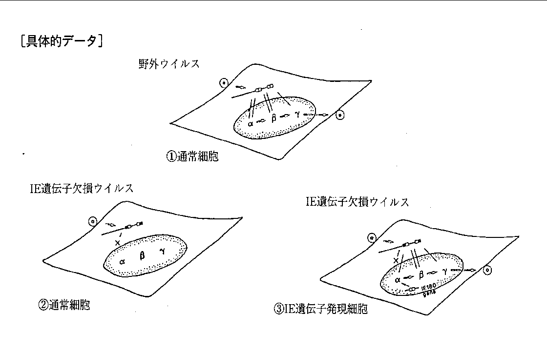 具体的データ