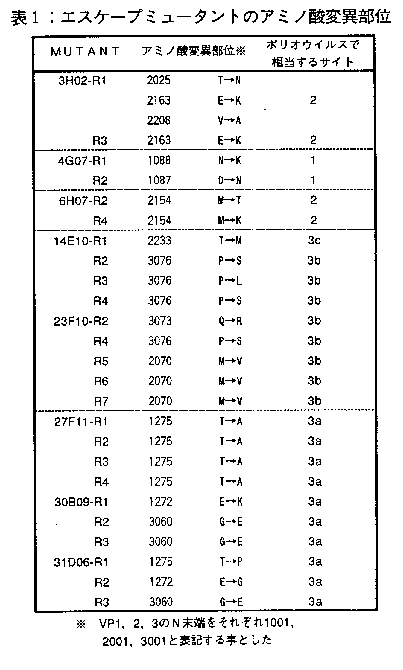 表1.エスケープミュータントのアミノ酸変異部位