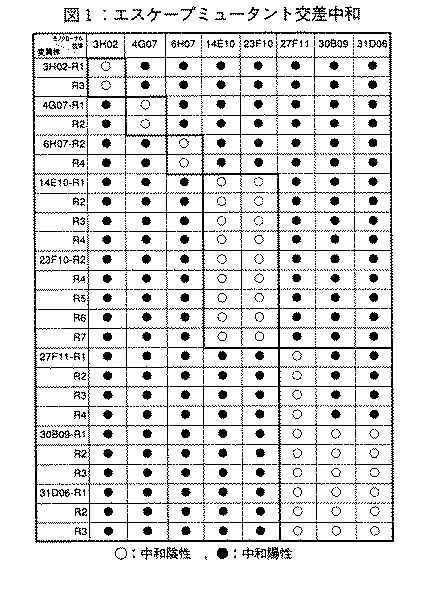 図1.エスケープミュータント交差中和