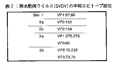 表2.豚小胞病ウイルス(SVDV)の中和エピトープ部位
