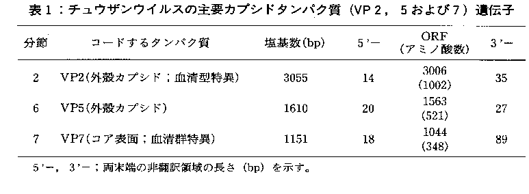 表1.チュウザンウイルスの主要カプシドタンパク質(VP2、5および7)遺伝子