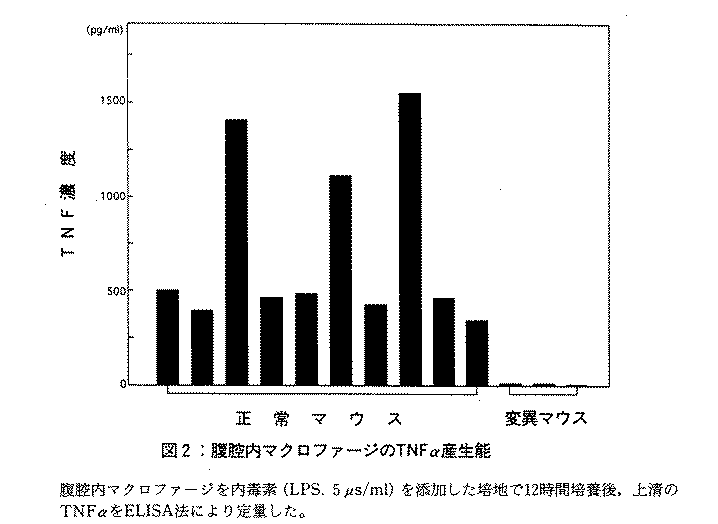 図2.腹膣内マクロファージを内毒素を添加した培地で12時間培養後、上漬のTNFαをELISA法により定量した。