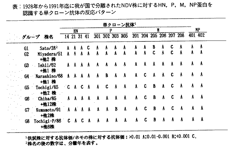 表.1928年から1991年迄に我が国で分離されたNDV株に対するHN、P、M、NP蛋白を認識する単クローン抗体の反応パターン