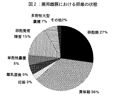 図2.廃用雌豚における卵巣の状態