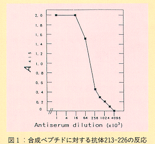 図1 合成ペプチドに対する抗体213-226の反応