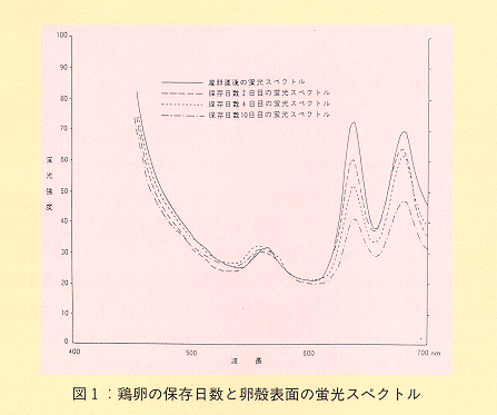 図1 鶏卵の保存日数と卵殻表面の蛍光スペクトル