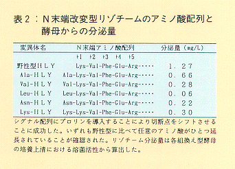 表2 N末端改変型リゾチームのアミノ酸配列と酵母からの分泌量