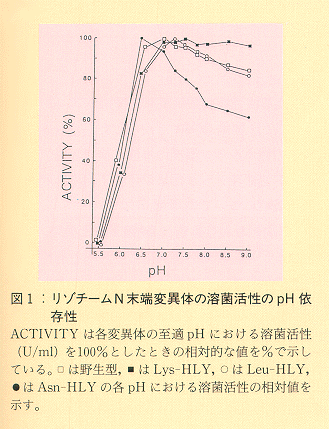 図1 リゾチームN末端変異体の溶菌活性のpH依存性