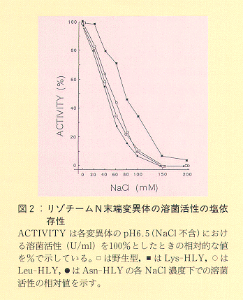 図2 リゾチームN末端変異体の溶菌活性の塩依存性