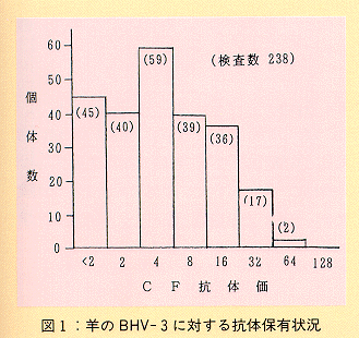 図1 羊のBHV-3に対する抗体保有状況