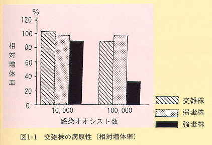 図1-1 交雑株の病原性