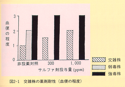 図2-1 交雑株の薬剤耐性