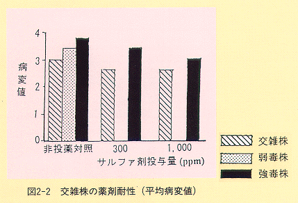 図2-2 交雑株の薬剤耐性