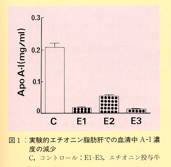 図1 実験的エチオニン脂肪肝での血清中A-I濃度の減少