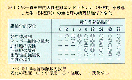 表1 第一胃由来内因性遊離エンドトキシン(R-ET)を投与した牛(BN5370)の生検肝の病理組織学的変化