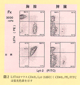 図2 L3T4はマウスCD4を、Lyt-2は同じくCD8を、PE,FITCは蛍光色素を示す