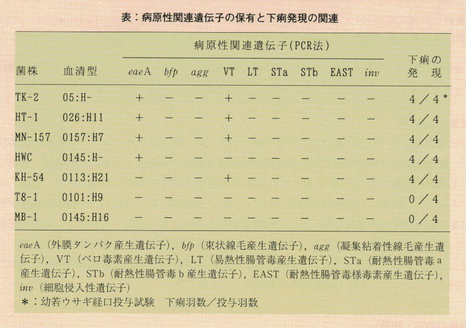 表.病原性関連遺伝子の保有と下痢発現の関連