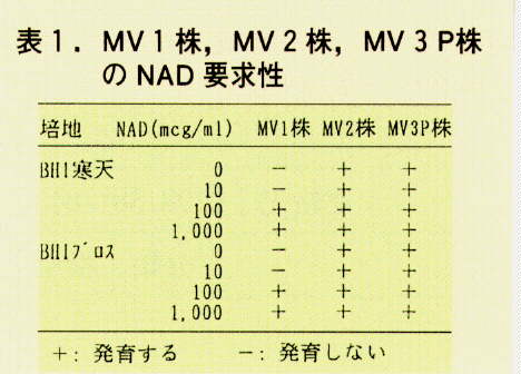 表1.MV1株、MV2株、MV3P株、のNAD要求性