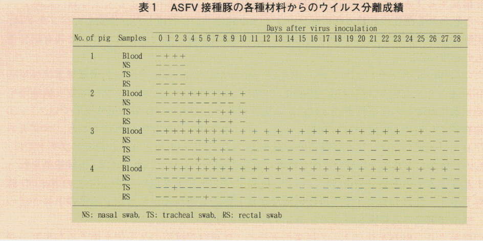 表1.ASFV接種豚の各種材料からウイルス分離成績