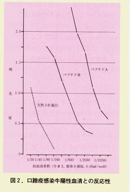 図2.口蹄疫感染牛陽性血清との反応性