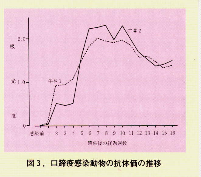 図3.口蹄疫感染動物の抗体価の推移