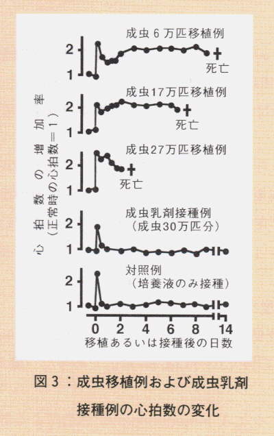 図3.成虫移植例および成虫乳剤接種例の心拍数の変化