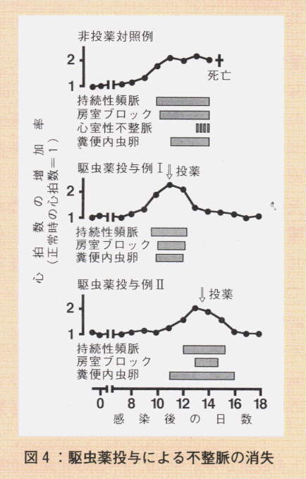 図4.駆虫薬投与による不整脈の消失