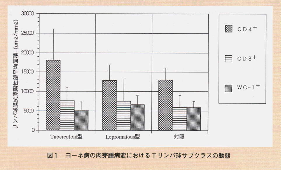 図1.ヨ-ネ病の肉芽腫病変におけるTリンパ球サブクラスの動態