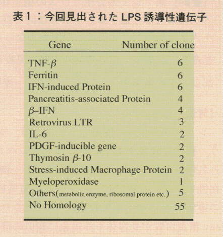 表1.今回見出されたLPS誘導性遺伝子