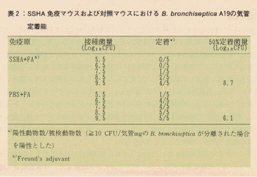 表2.SSHA免疫マウスおよび対照マウスにおけるB. bronchiseptica A19の気管定着能