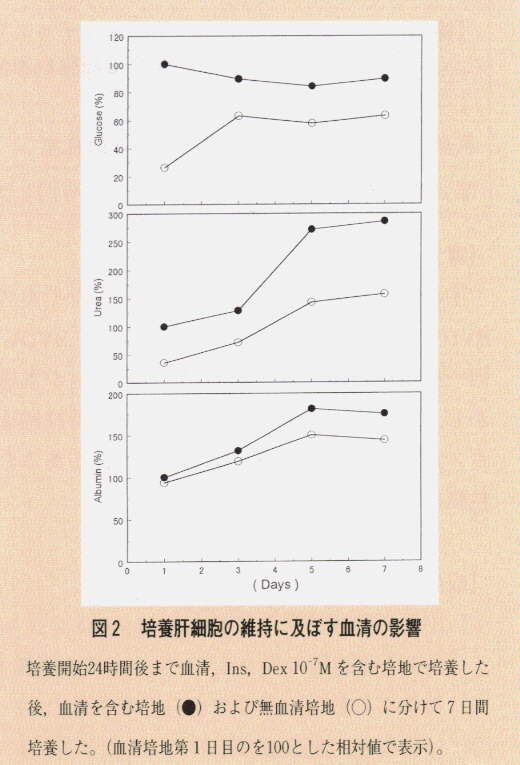 図2.培養肝細胞の維持に及ぼす血清の影響