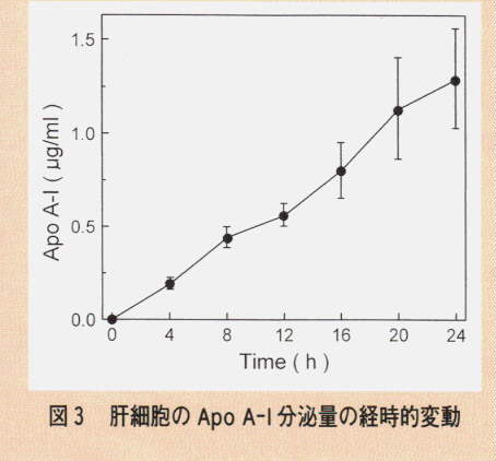 図3.肝細胞のApo A-I分泌量の経時的変動