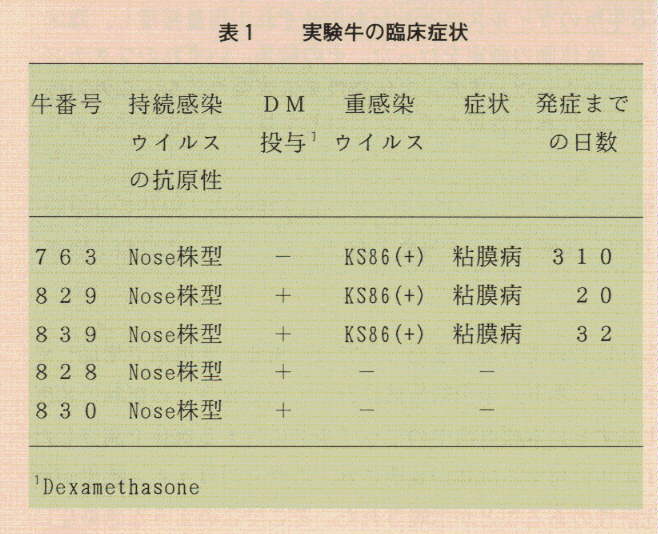 表1.実験牛の臨床症状