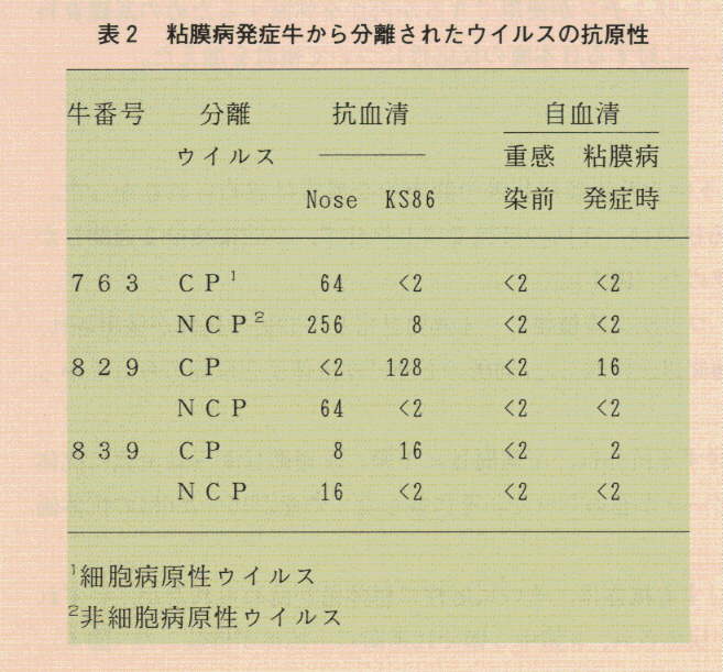 表2.粘膜病発症牛から分離されたウイルスの抗原性