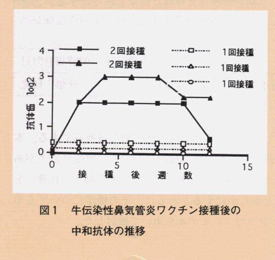 図1.牛伝染性鼻気管炎ワクチン接種後の中和抗体の推移