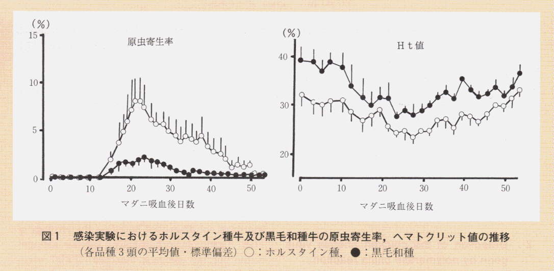 図1.感染実験におけるホルスタイン種牛及び黒毛和種牛の原虫寄生率、ヘマトクリット値の推移