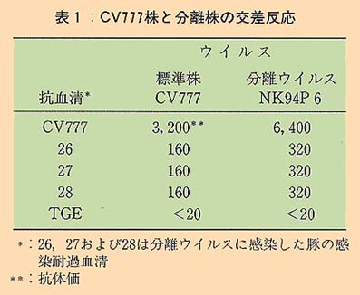 表1 CV777株と分離株の交差反応