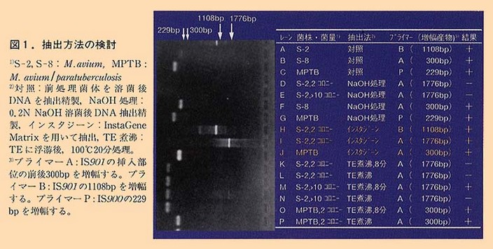 図1 抽出方法の検討