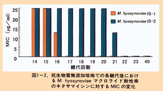 図1-2 抗生物質無添加培地での各継代後におけるM.hysynoviaeマクロライド耐性株のキタサマイシンに対するMICの変化