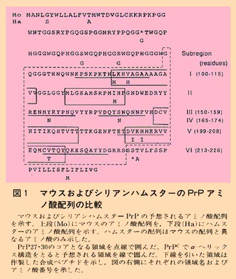 図1 マウスおよびシリアンハムスターのPrpアミノ酸配列の比較