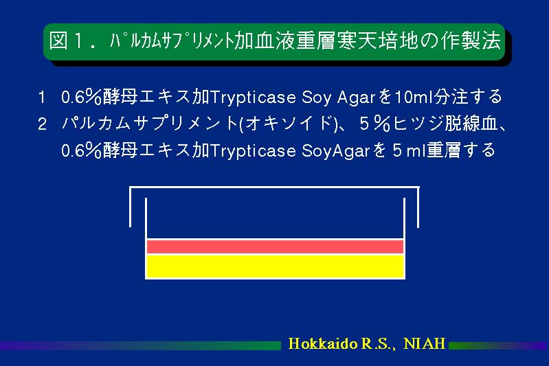 図1.パルカムサプリメント加血液重層寒天培地の作製法