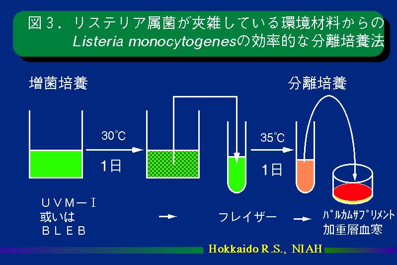 図3.リステリア属菌が夾雑している環境材料からのListeria monocytogenesの効率的な分離培養法