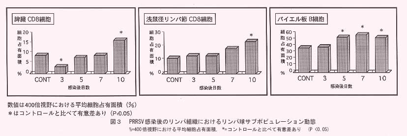 図3.PRRSV感染後のリンパ組織におけるリンパ球サブポピュレーション動態